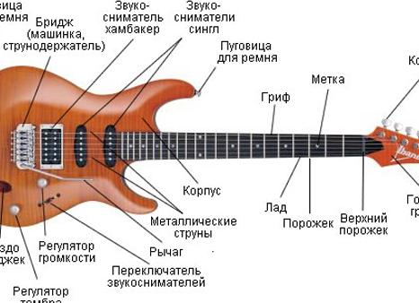 Хамбакер против сингла: SSS, SSH или HH?