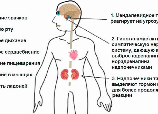 Как побороть страх сцены?