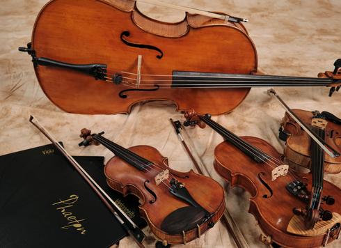 Картинки с выставки. Виолончелист